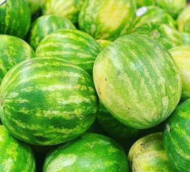 melon-Geresbecks-Food-Markets